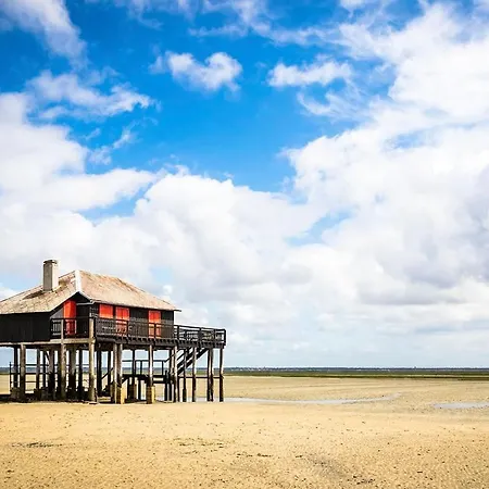 La Perle Du Bassin - Pereire - *