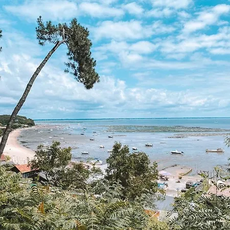 شقة La Perle Du Bassin - Pereire - آركاشو